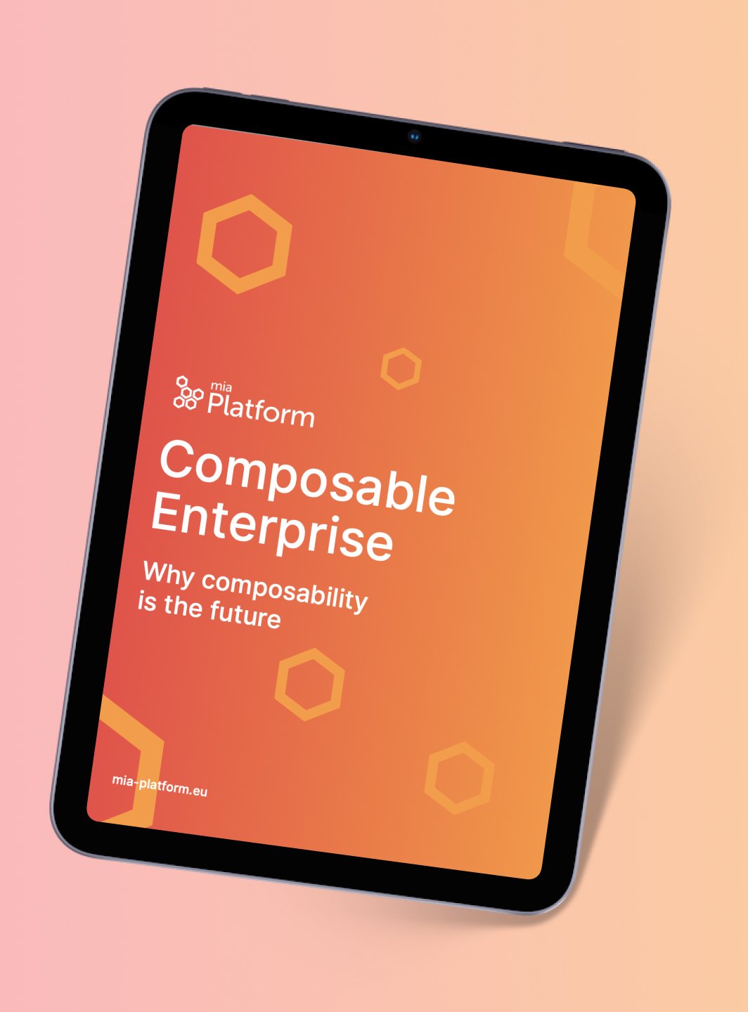 Composable Enterprise. Why composability is the future